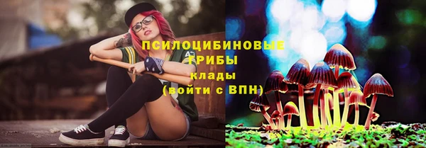 стаф Дмитров