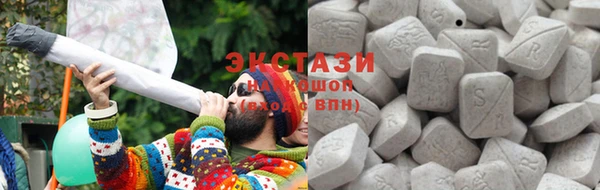 стаф Дмитров