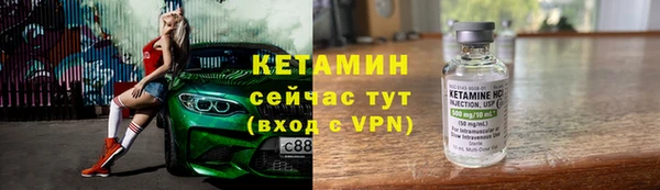 стаф Дмитров