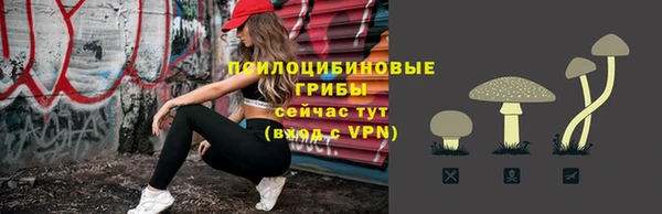 стаф Дмитров
