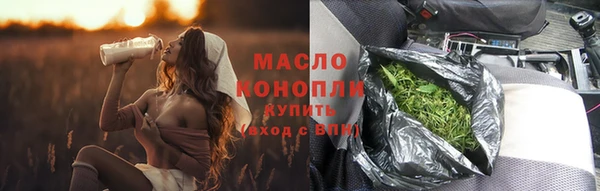 apvp Гусев