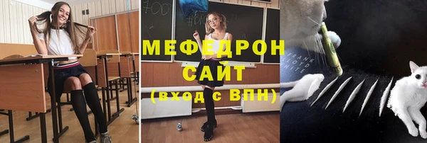 стаф Дмитров