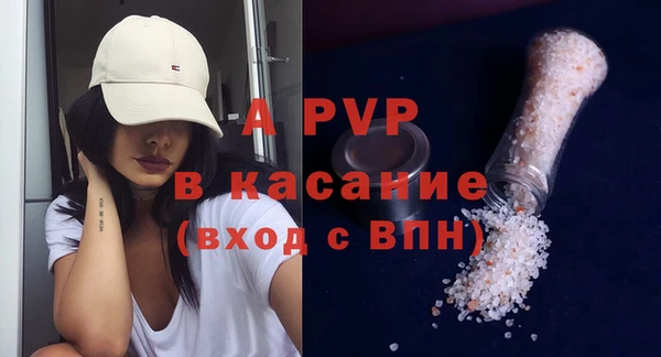 стаф Дмитров