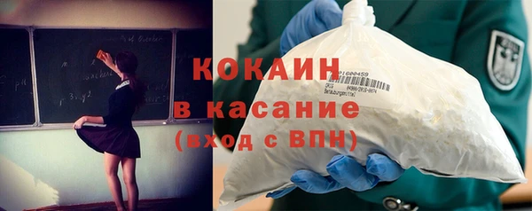 стаф Дмитров
