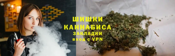 стаф Дмитров