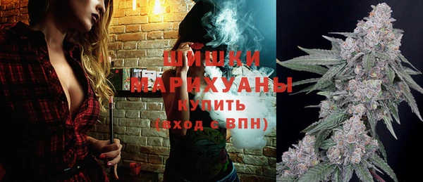 стаф Дмитров