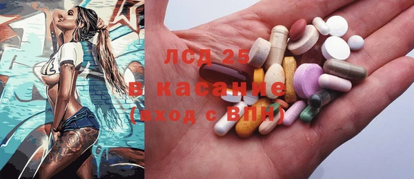 стаф Дмитров