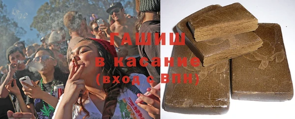 стаф Дмитров