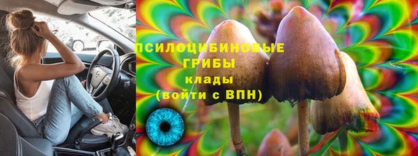 таблы Дмитриев