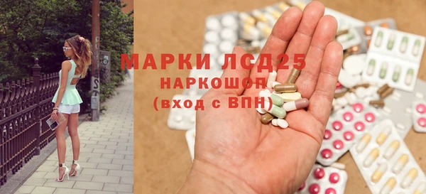 стаф Дмитров