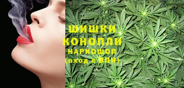 стаф Дмитров