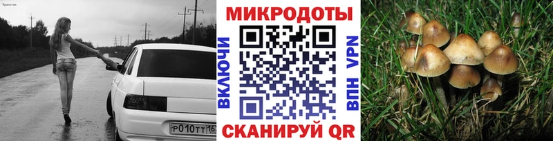 Псилоцибиновые грибы GOLDEN TEACHER  Избербаш 