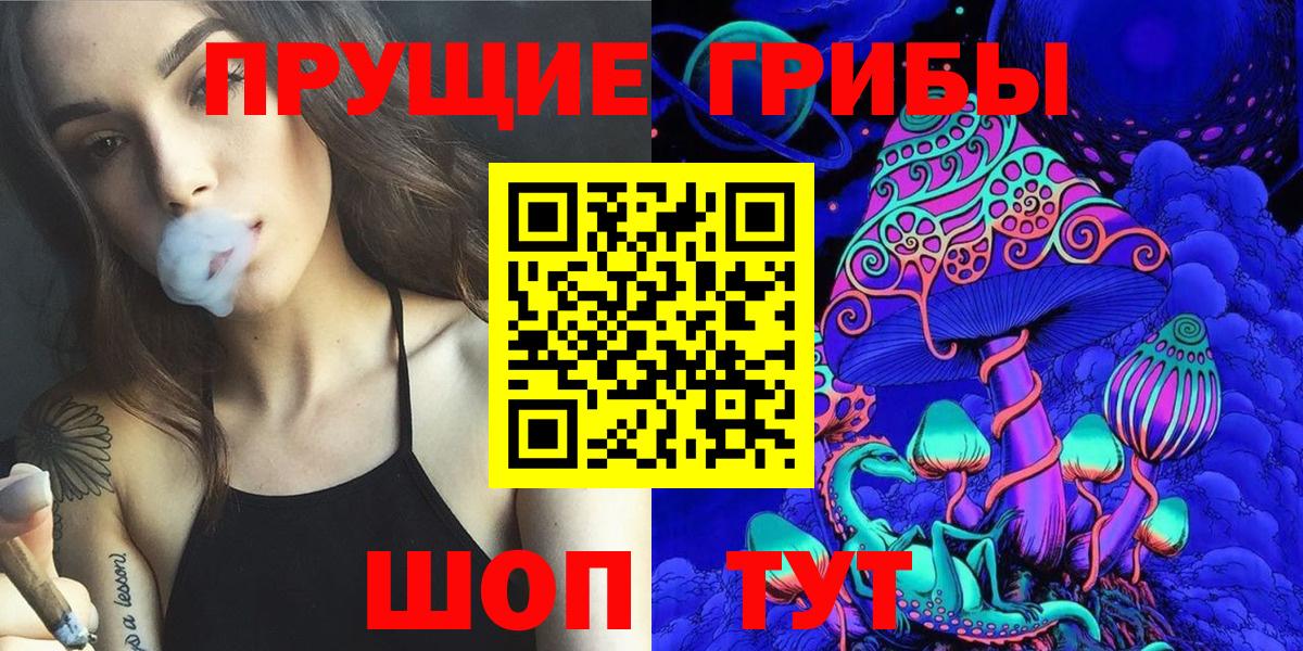 Галлюциногенные грибы Cubensis Избербаш