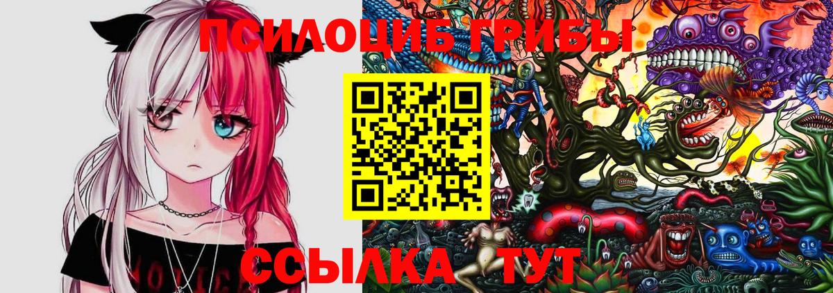 Избербаш  Псилоцибиновые грибы Magic Shrooms  Вход с VPN  купить   Псилоцибиновые грибы Magic Shrooms 