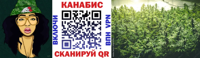 как найти закладки  Избербаш  blacksprut как войти  Каннабис OG Kush 